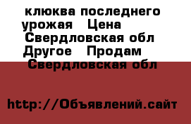 клюква последнего урожая › Цена ­ 200 - Свердловская обл. Другое » Продам   . Свердловская обл.